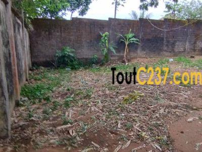 Urgent: Terrain à vendre à Logpom