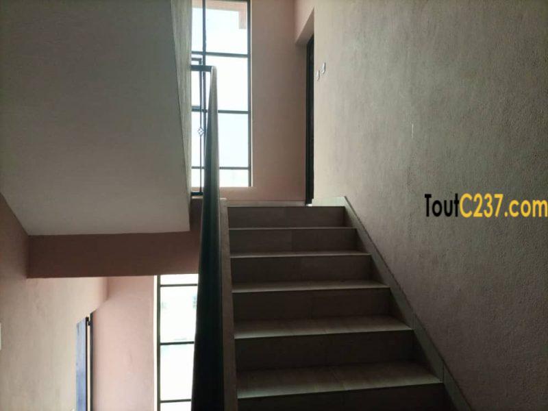 Appartement très haut standing à Makepe