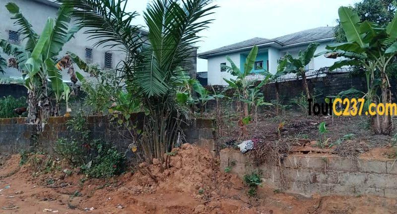 Terrain à vendre à Logpom Douala