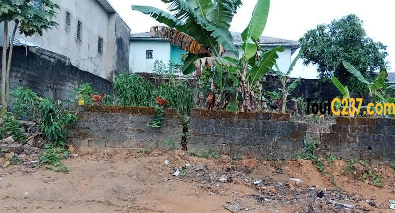 Terrain à vendre à Logpom Douala