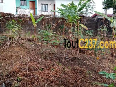 Terrain à vendre à Logpom Douala