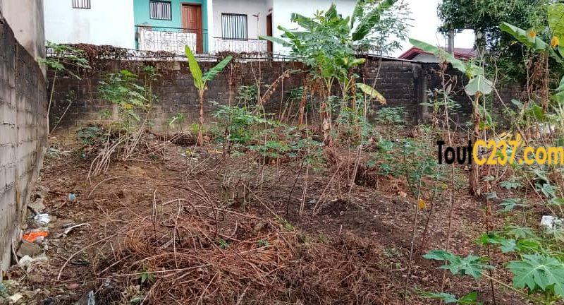 Terrain à vendre à Logpom Douala