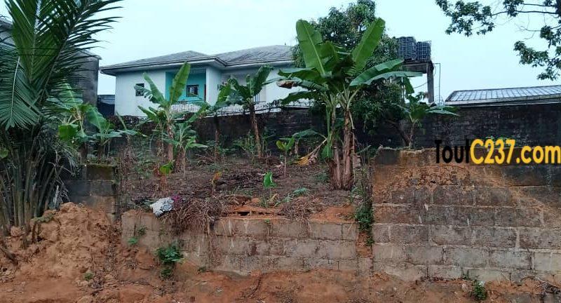 Terrain à vendre à Logpom Douala