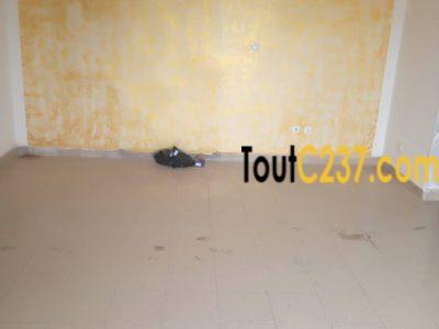 Appartement à louer à Akwa Douala