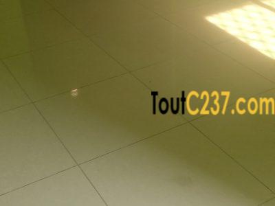 Appartement à louer à Bonamoussadi