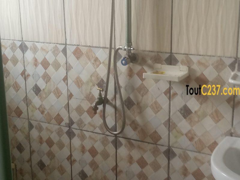 Appartement à louer à Bonamoussadi