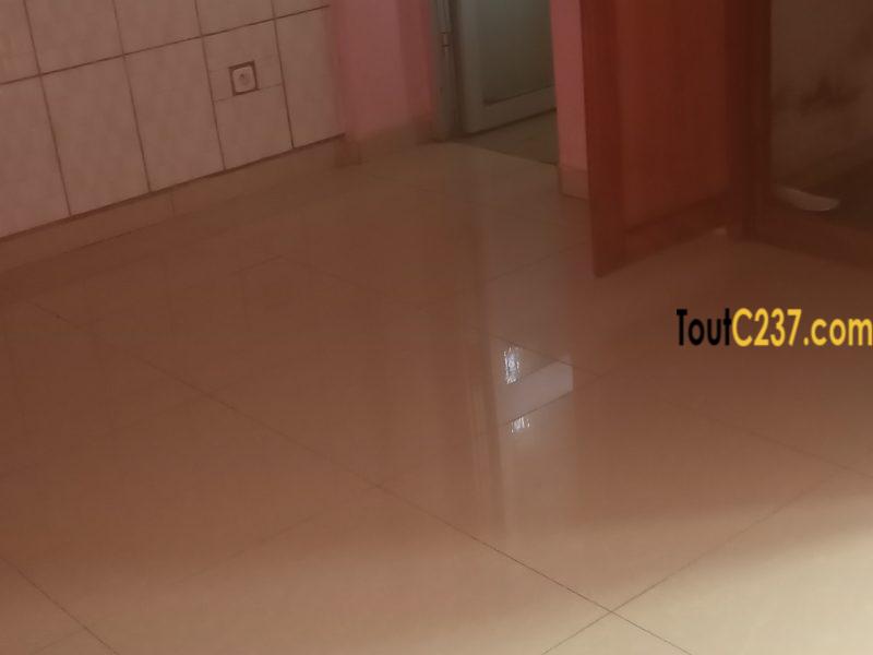 Appartement à louer à Bonamoussadi