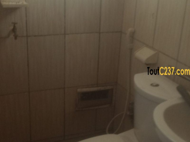 Appartement à louer à Bonamoussadi