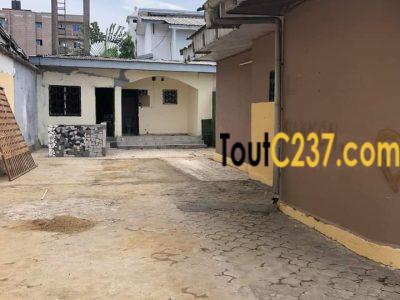 Maison en villa à louer à Makepe