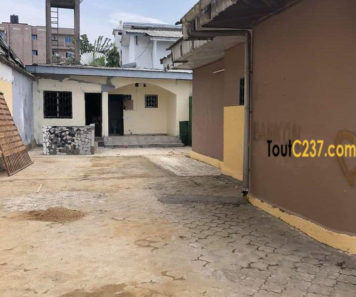 Maison en villa à louer à Makepe