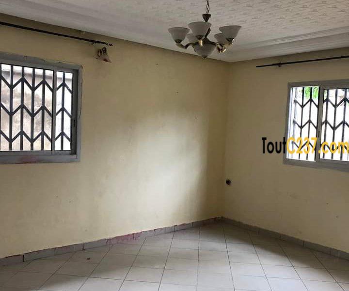 Maison en villa à louer à Makepe