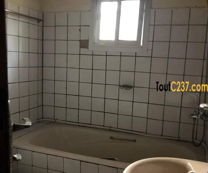 Maison en villa à louer à Makepe