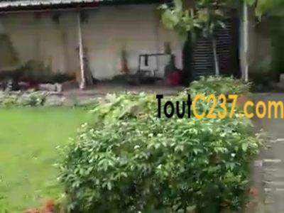 Maison en duplex à louer a Bonanjo