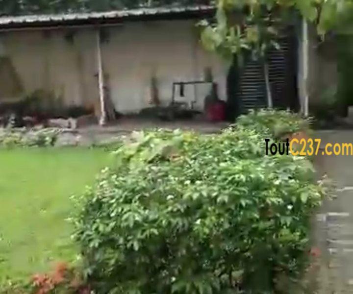 Maison en duplex à louer a Bonanjo