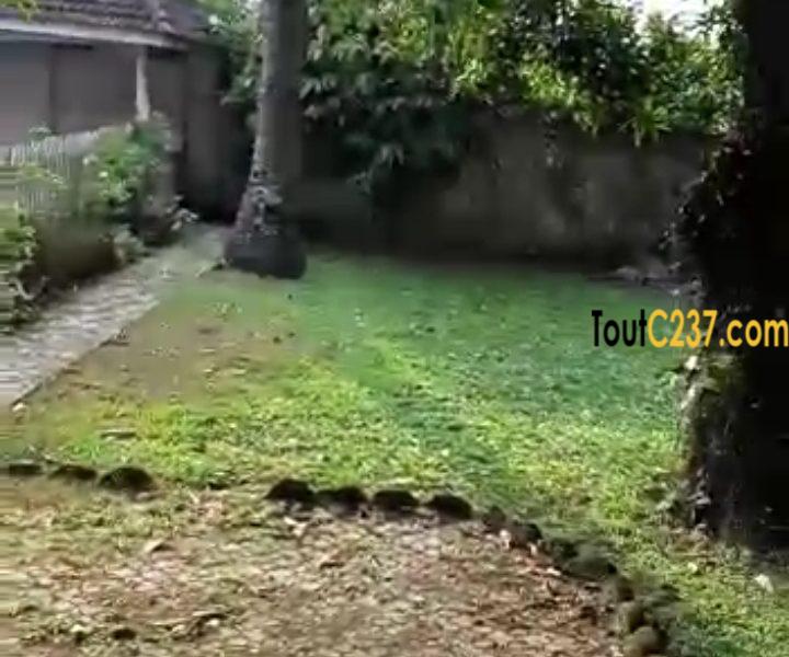 Maison en duplex à louer a Bonanjo