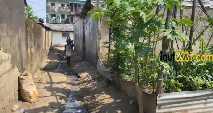 Terrain a vendre à Deido (New Deido)