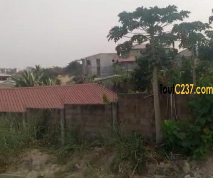 Terrain commercial à vendre à Nkolbong