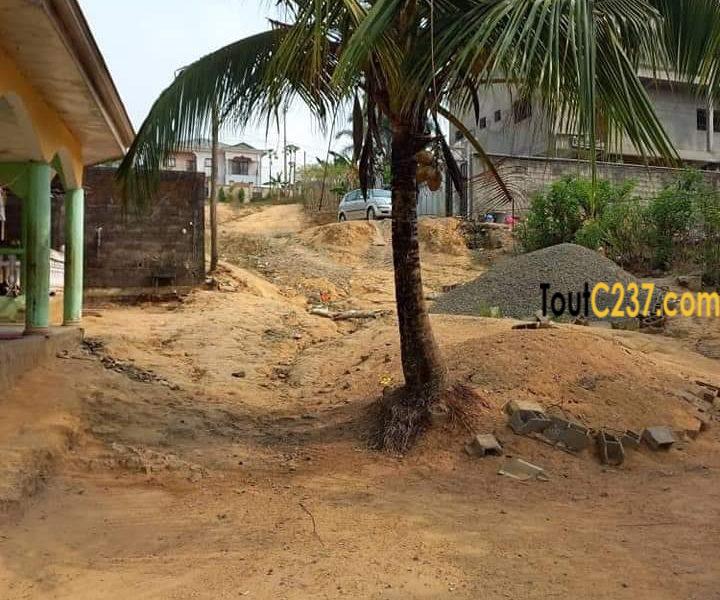 Maison en villa à vendre à Pk12 Douala