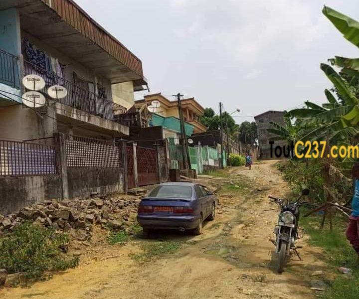 Terrain à vendre à ndogbon, Douala