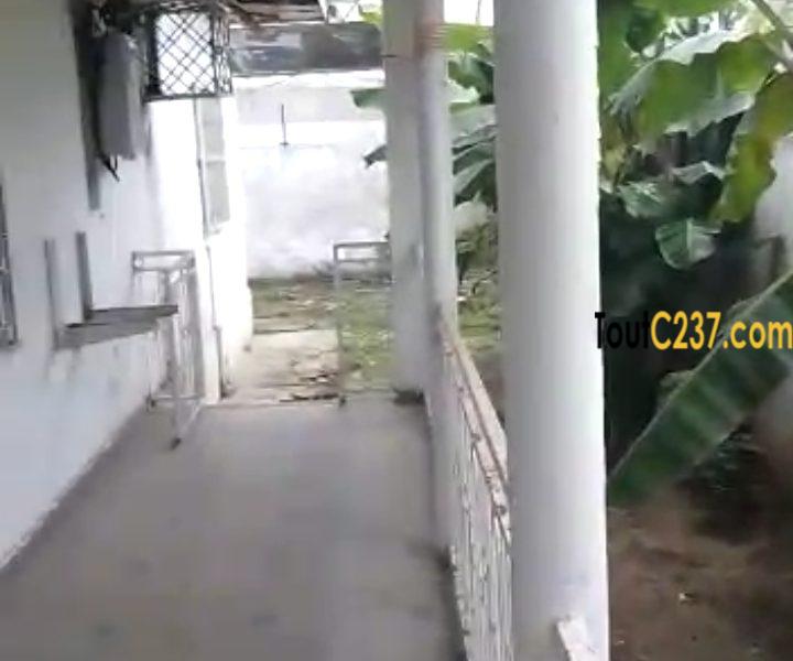 Maison en villa à louer à Bali, Douala