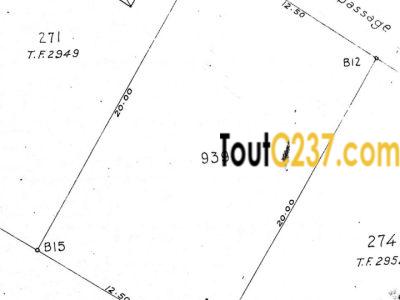 Terrain a vendre à Bonapriso, Douala