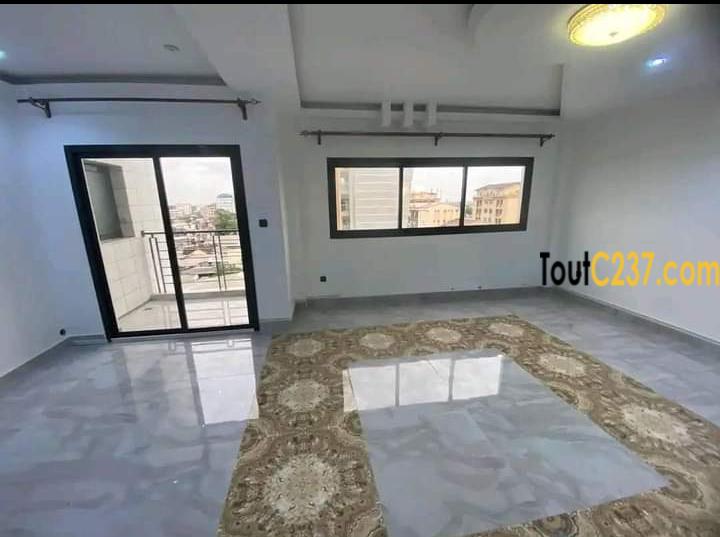 Appartement à louer à Bonapriso