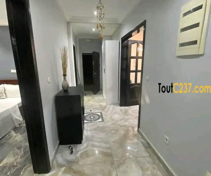 Appartement à louer à Bonapriso