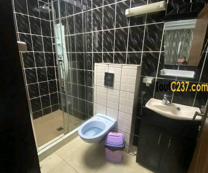 Appartement à louer à Bonapriso