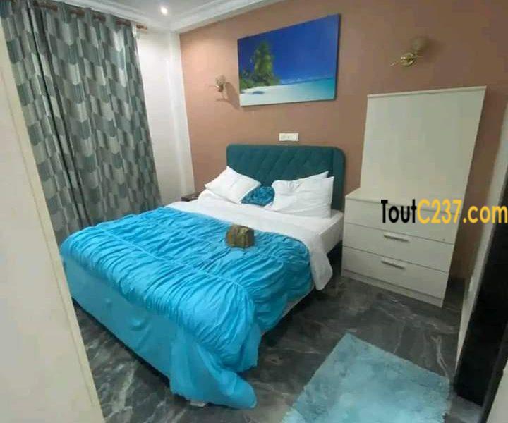 Appartement à louer à Bonapriso