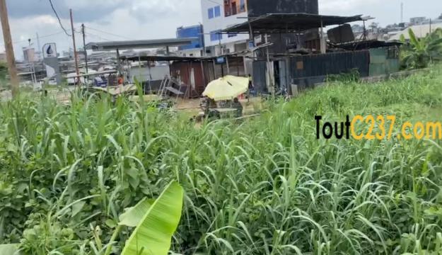 Terrain commercial à vendre à Makepe
