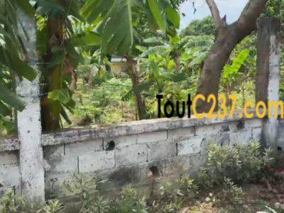 Urgent: Terrain à vendre à Logpom