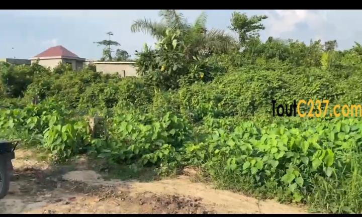 Terrain à vendre à Kotto Baden Baden