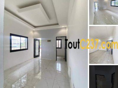 Studio Moderne à louer à Bonamoussadi