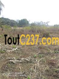 Terrain à vendre à Yassa (Azur)