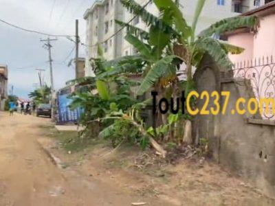 Terrain à vendre à Logbessou Douala
