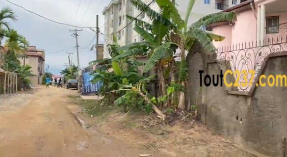 Terrain à vendre à Logbessou Douala
