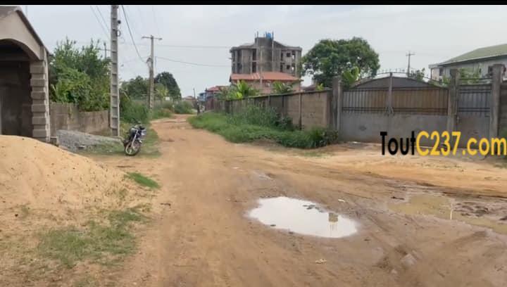 Terrain à vendre à Logbessou Douala