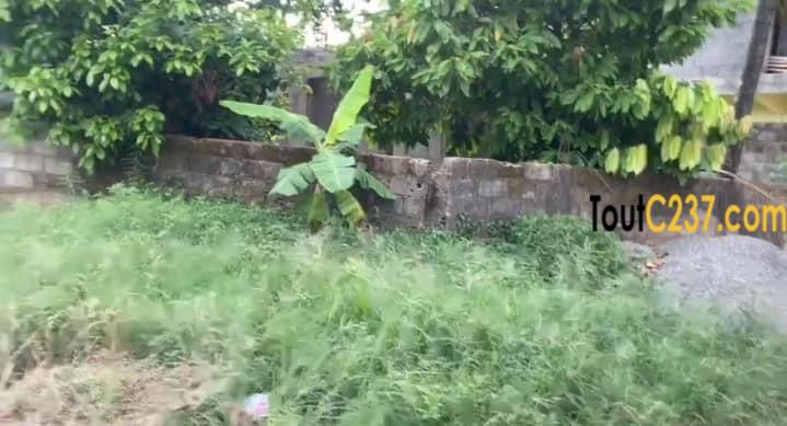 Terrain à vendre à Logbessou Douala