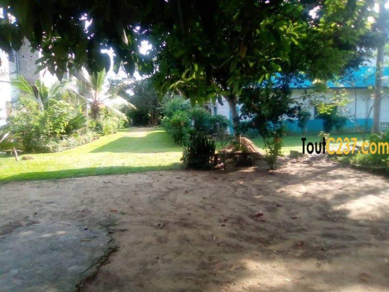 Terrain à vendre à Logpom Bangos