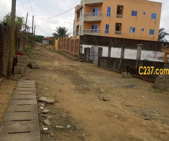 Terrain à vendre à Logpom Bangos