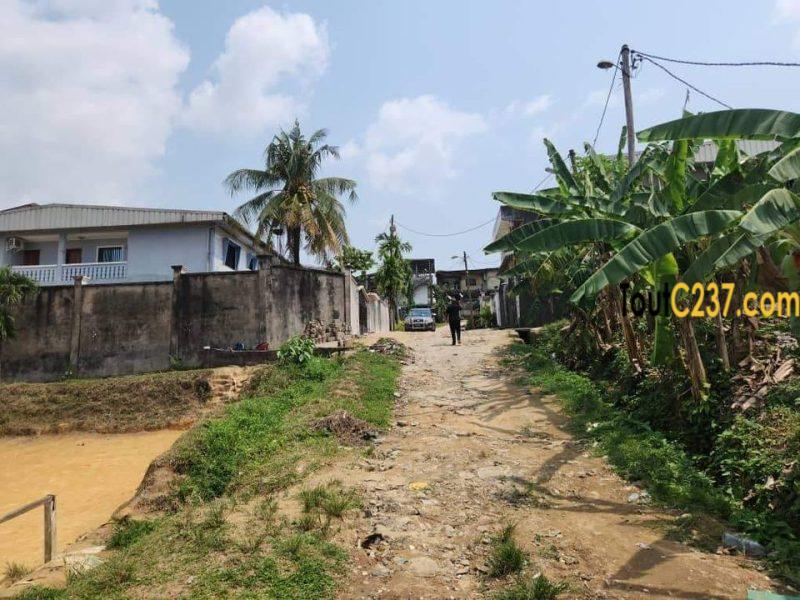 Terrain à vendre à Logpom Bangos