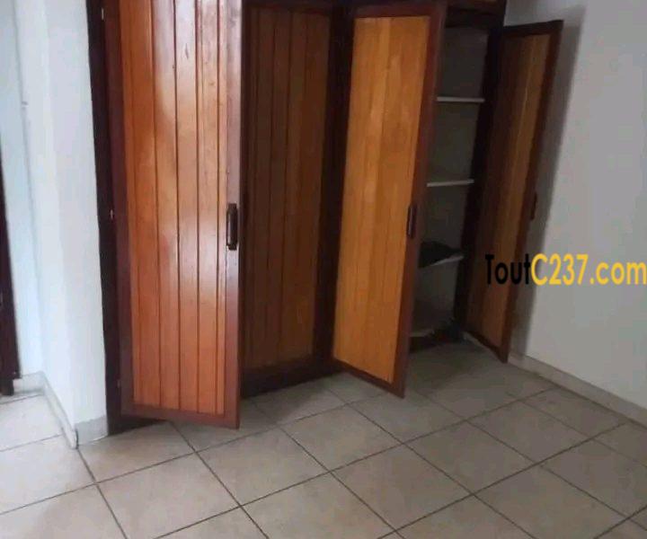 Appartement à louer à Bonamoussadi