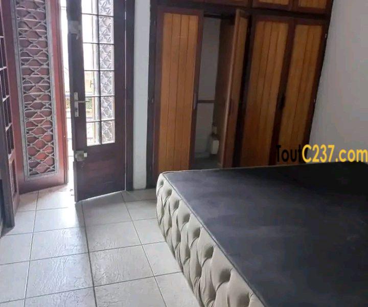 Appartement à louer à Bonamoussadi