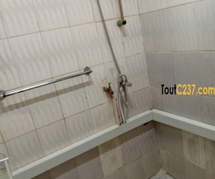 Maison en villa à louer à Deido