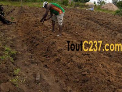 Terrain à vendre à pk21