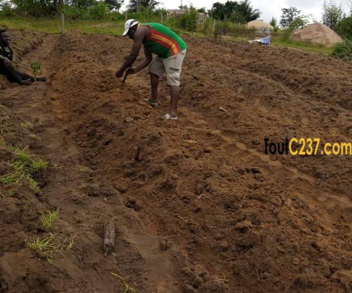 Terrain à vendre à pk21