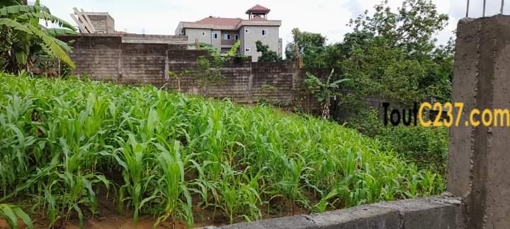 Terrain à vendre à Logpom