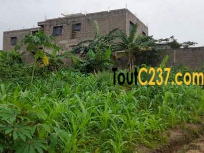 Terrain à vendre à Lendi, Douala