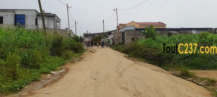Terrain à vendre à Lendi, Douala