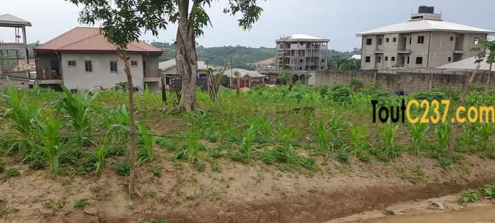 Terrain à vendre à Lendi, Douala